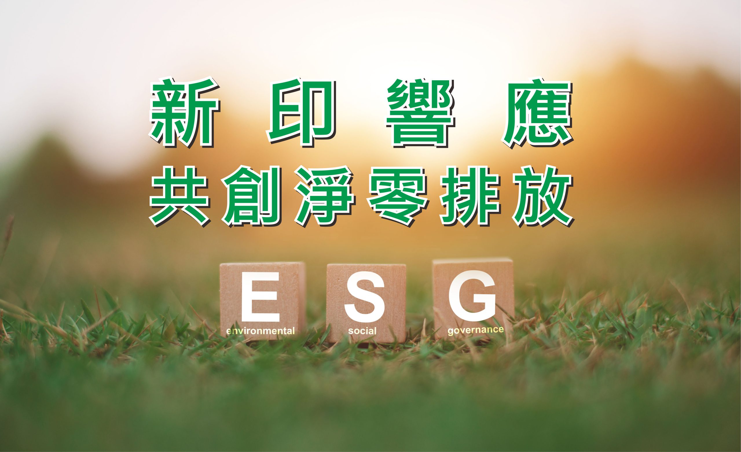 新光